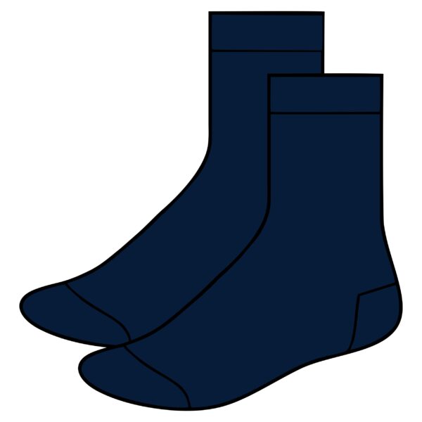 Short Navy Socks